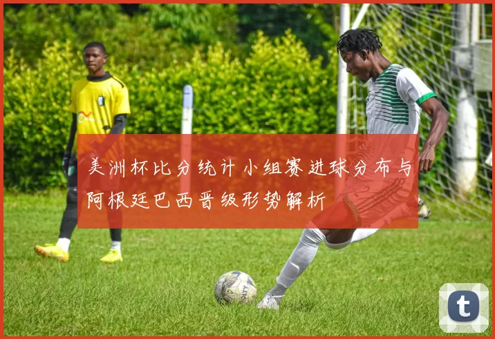 美洲杯比分统计小组赛进球分布与阿根廷巴西晋级形势解析