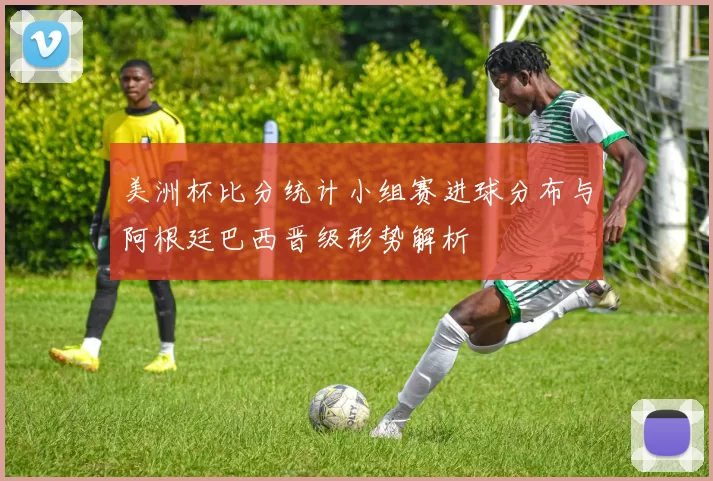 美洲杯比分统计小组赛进球分布与阿根廷巴西晋级形势解析