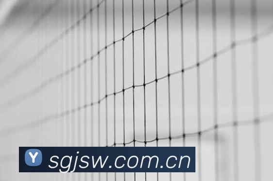 bat365(中国)在线平台官方网站 - 登录入口APP 体育赛事宣传图